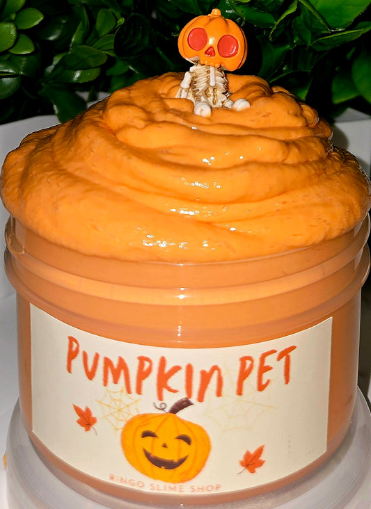 Pumpkin pet